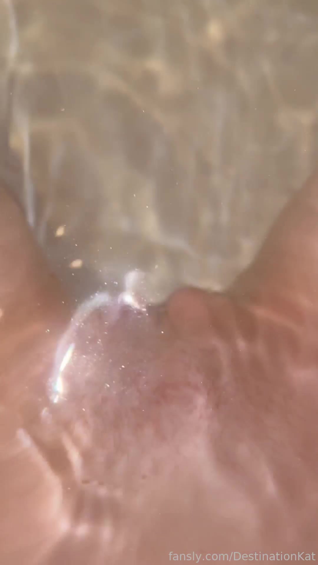 Destinationkat - 2022-06-16