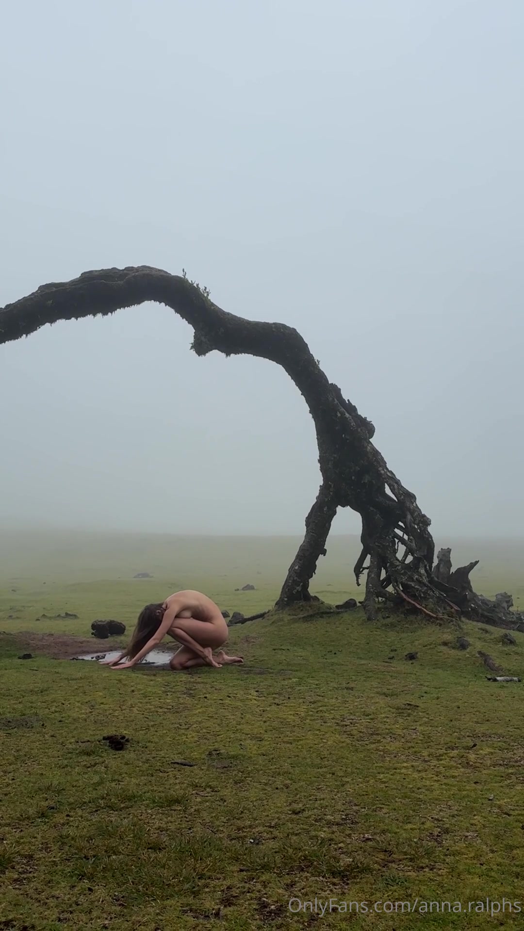 Incredible Week In Madeira