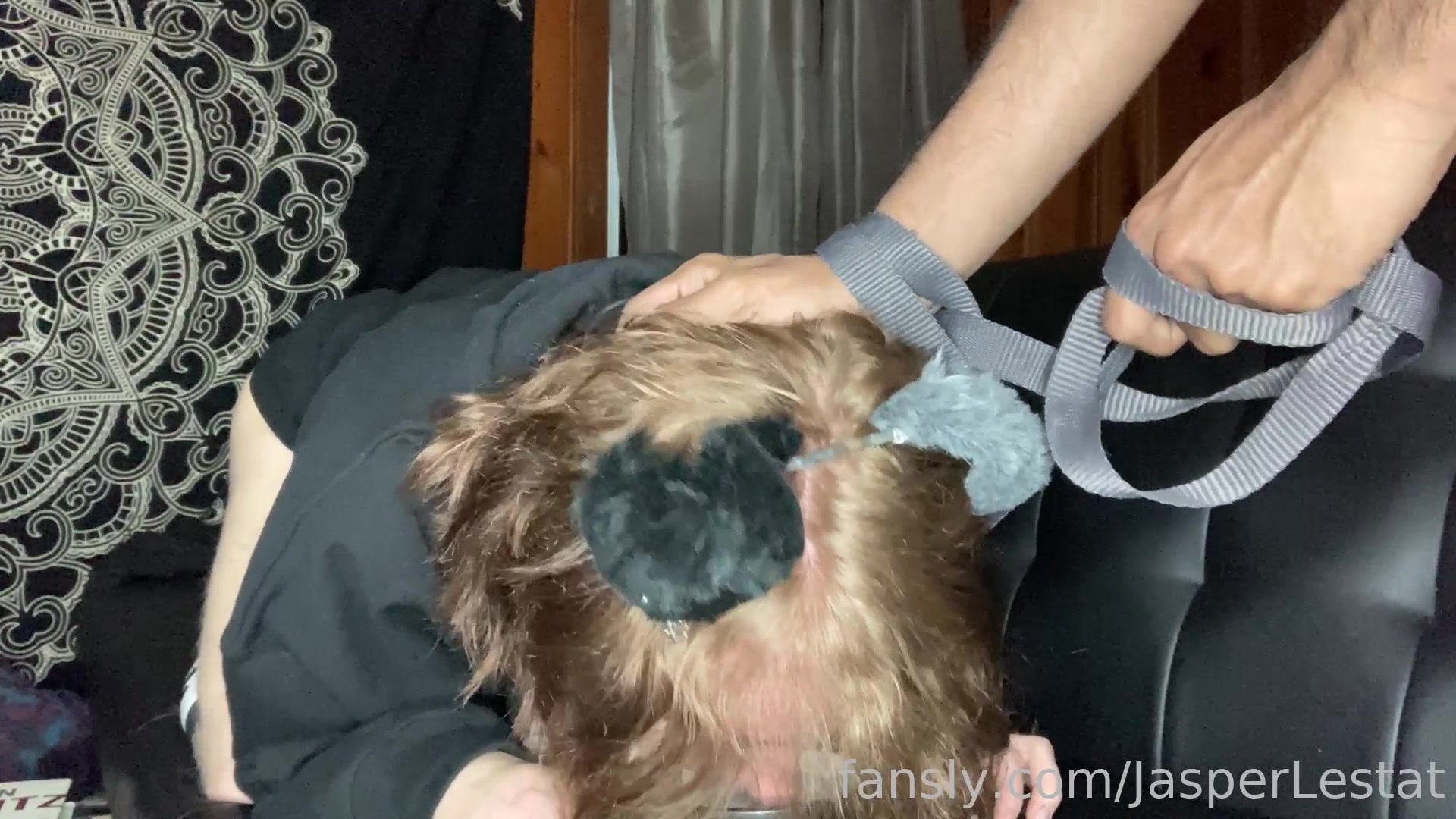 Good Puppies Have To Drink Water!