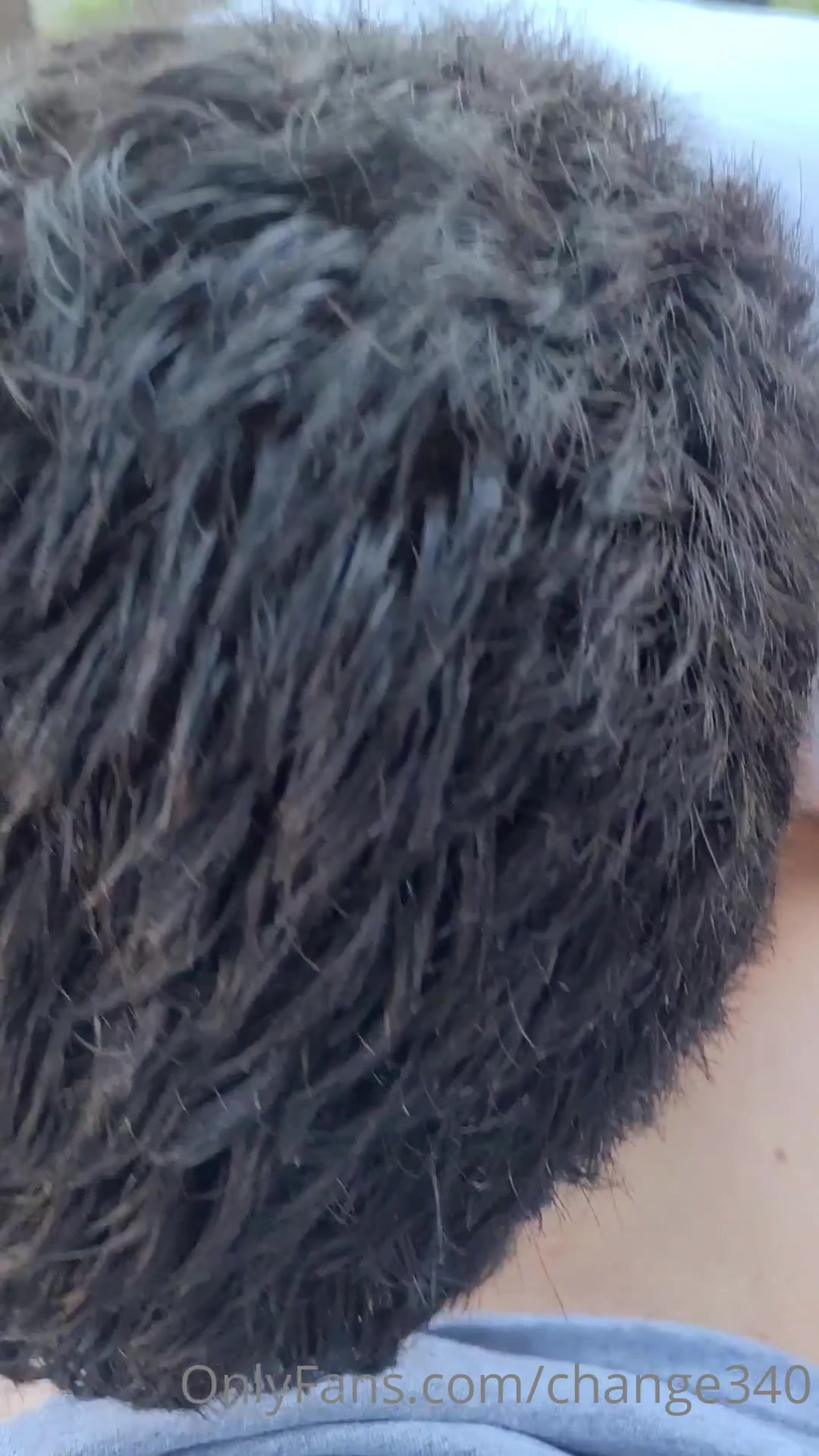 While Our Neighbors Were Playing Karaoke I Dared Tats To Pull