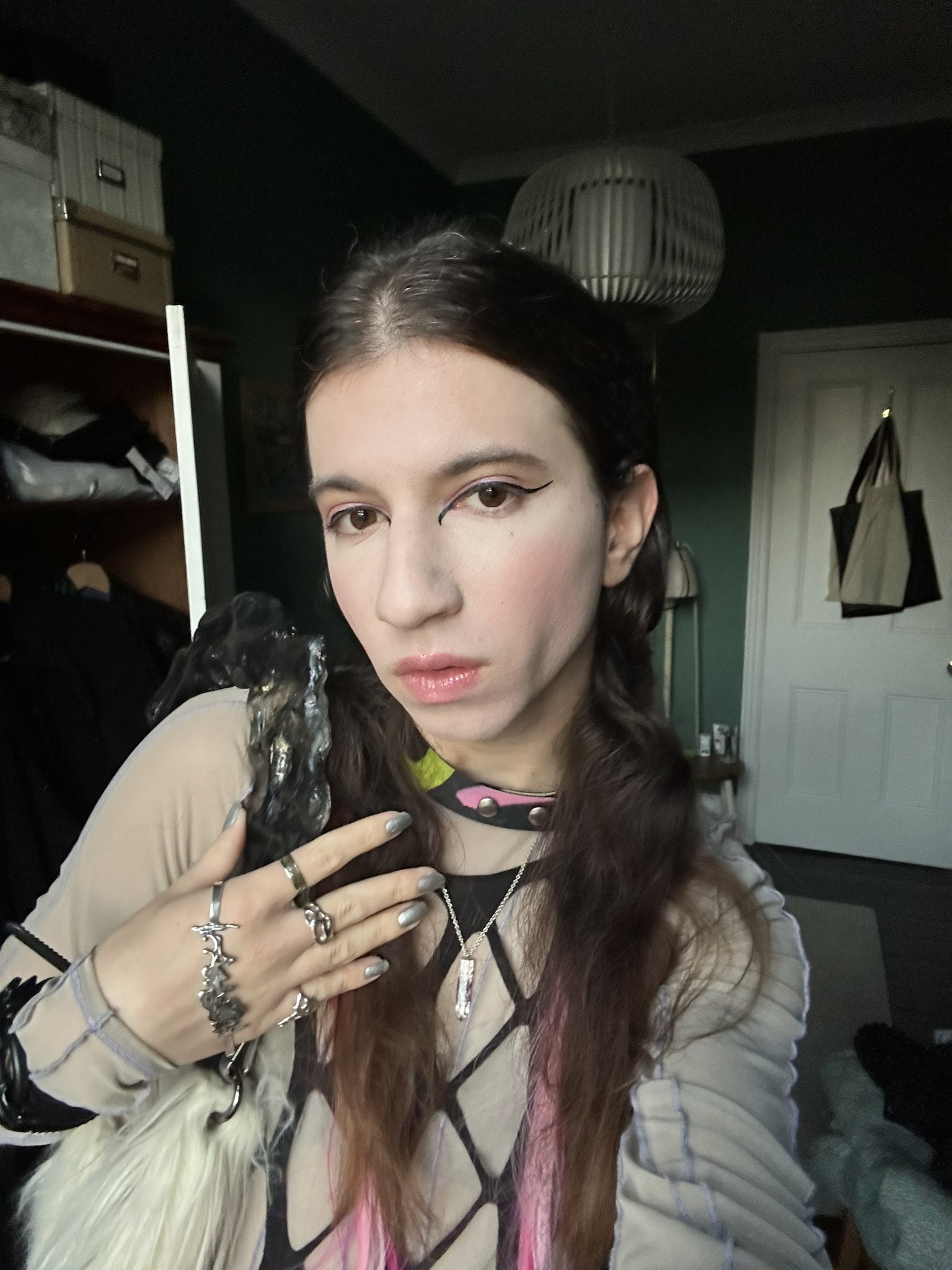 vlada_trans