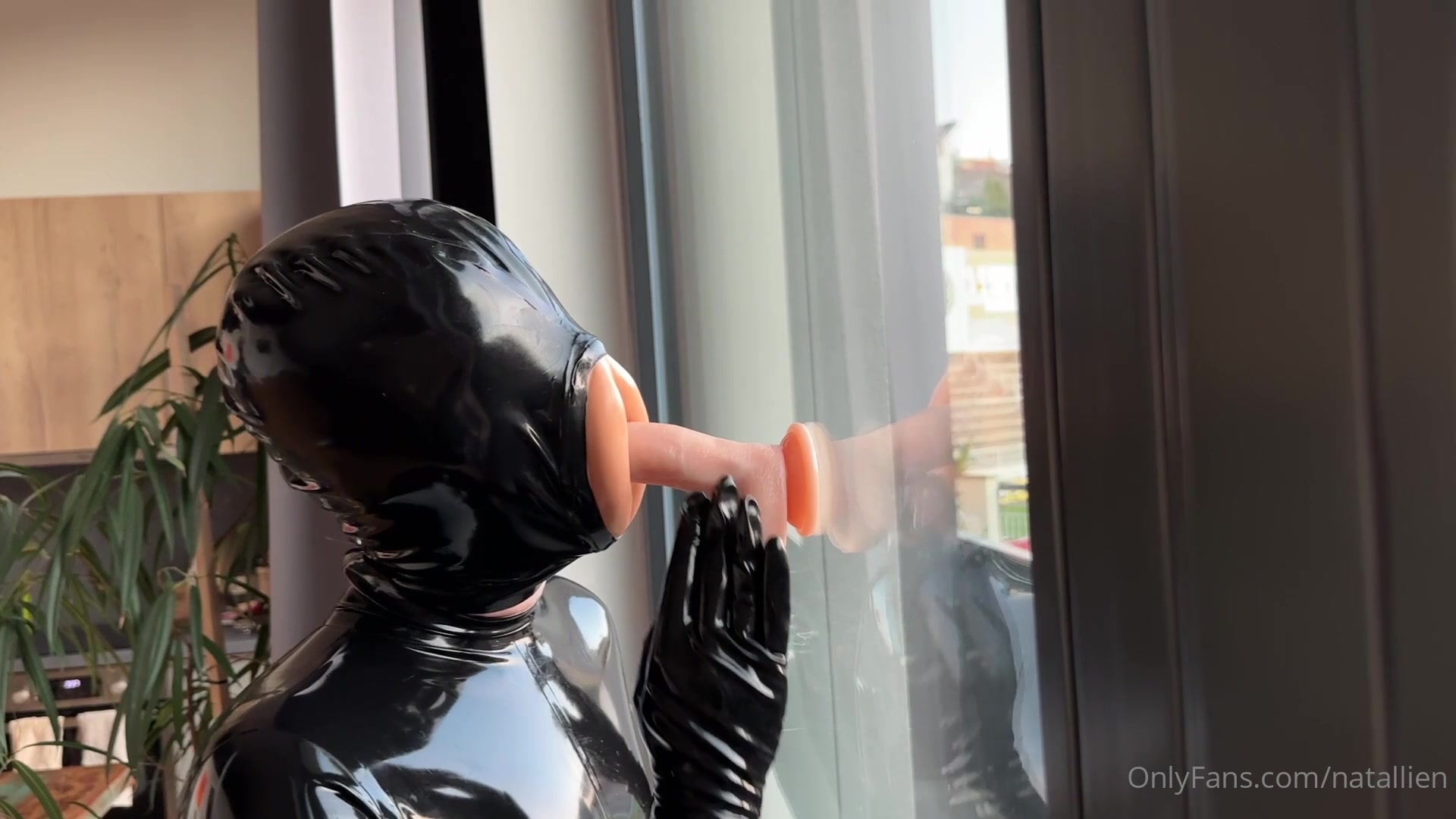 You Know My Odsession With Pussyface Right?