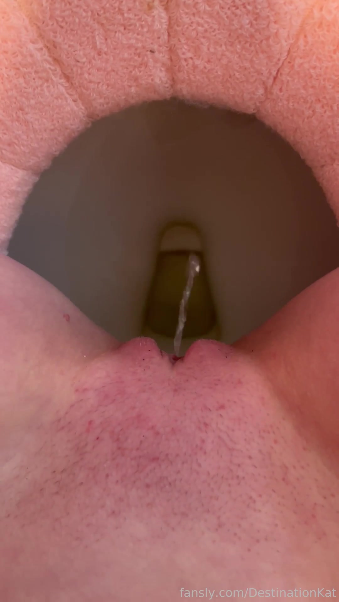 Destinationkat - 2022-04-18