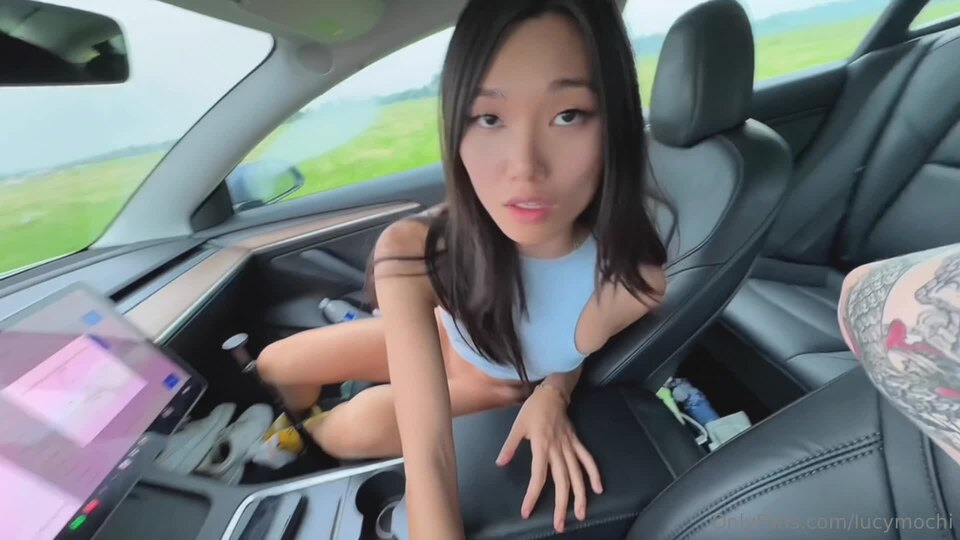 Road Trip Car Fuck