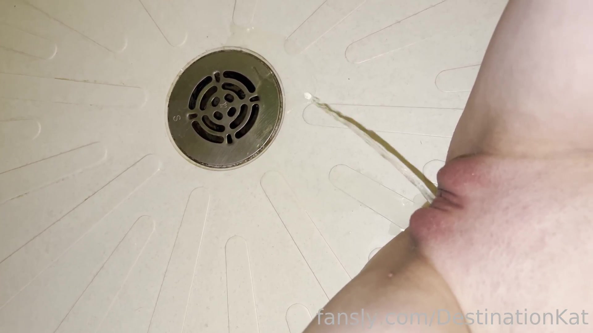 Destinationkat - 2022-01-06