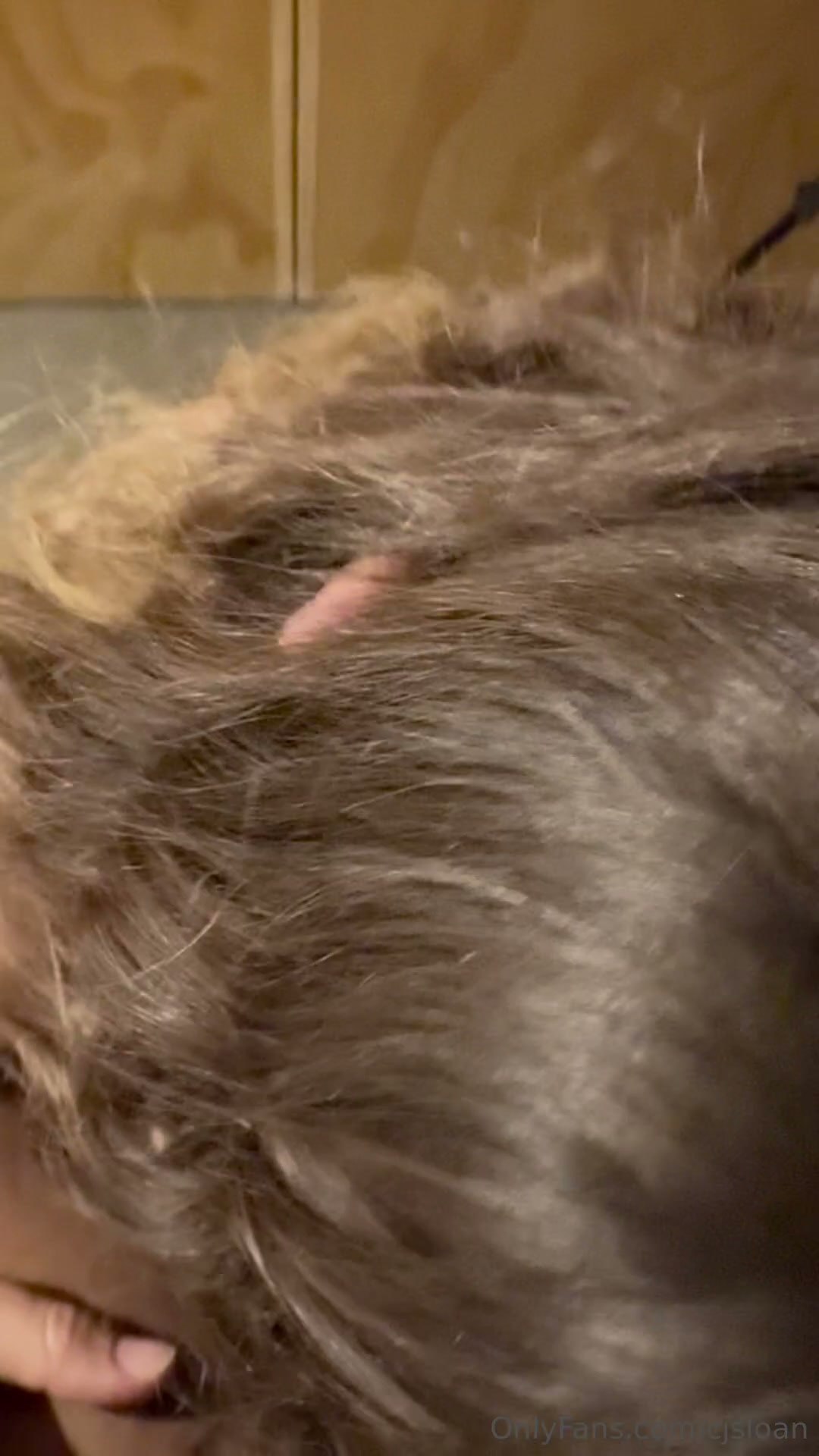 New Playmate Enters The Chat!!