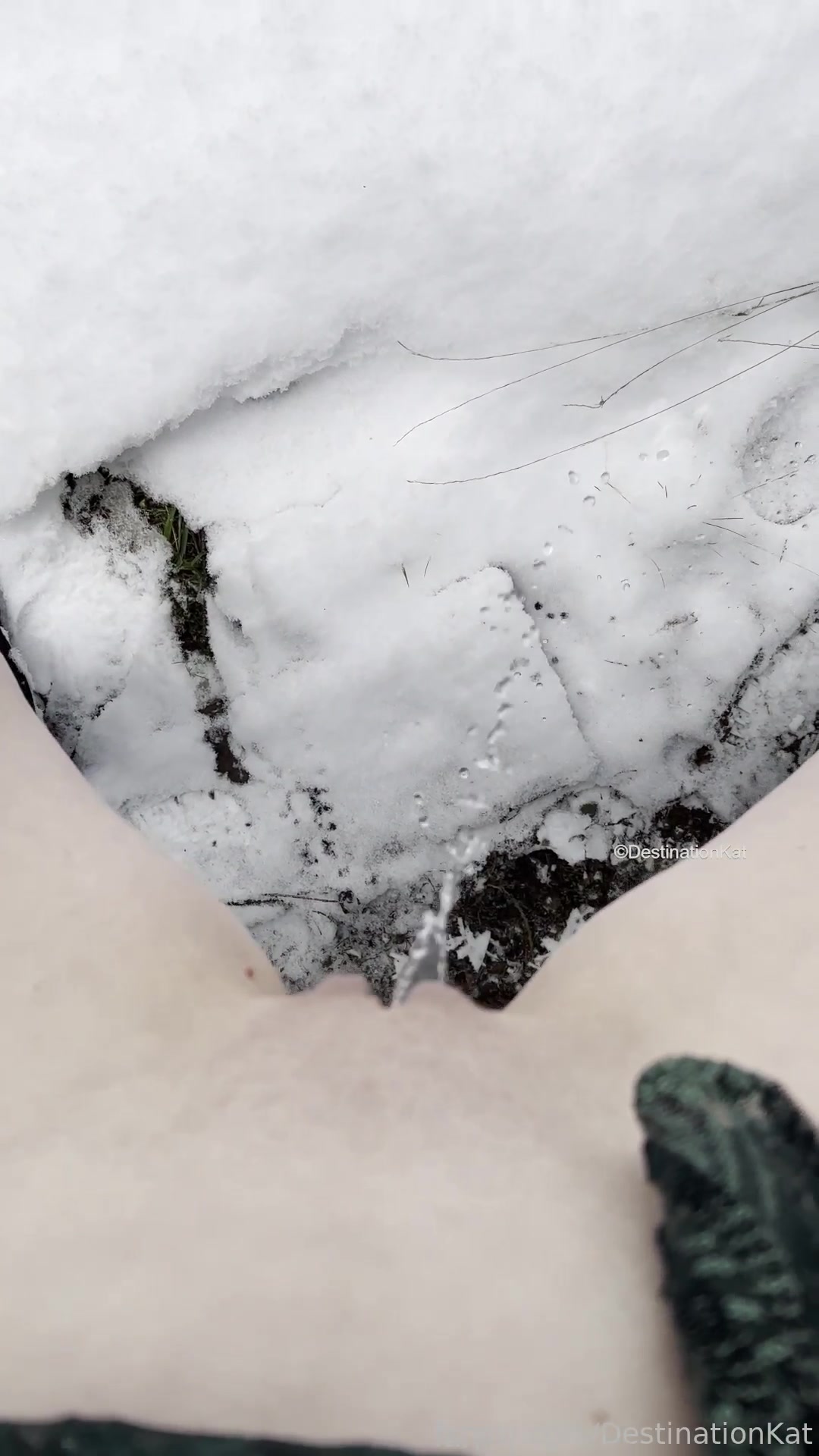 Destinationkat - 2022-01-02